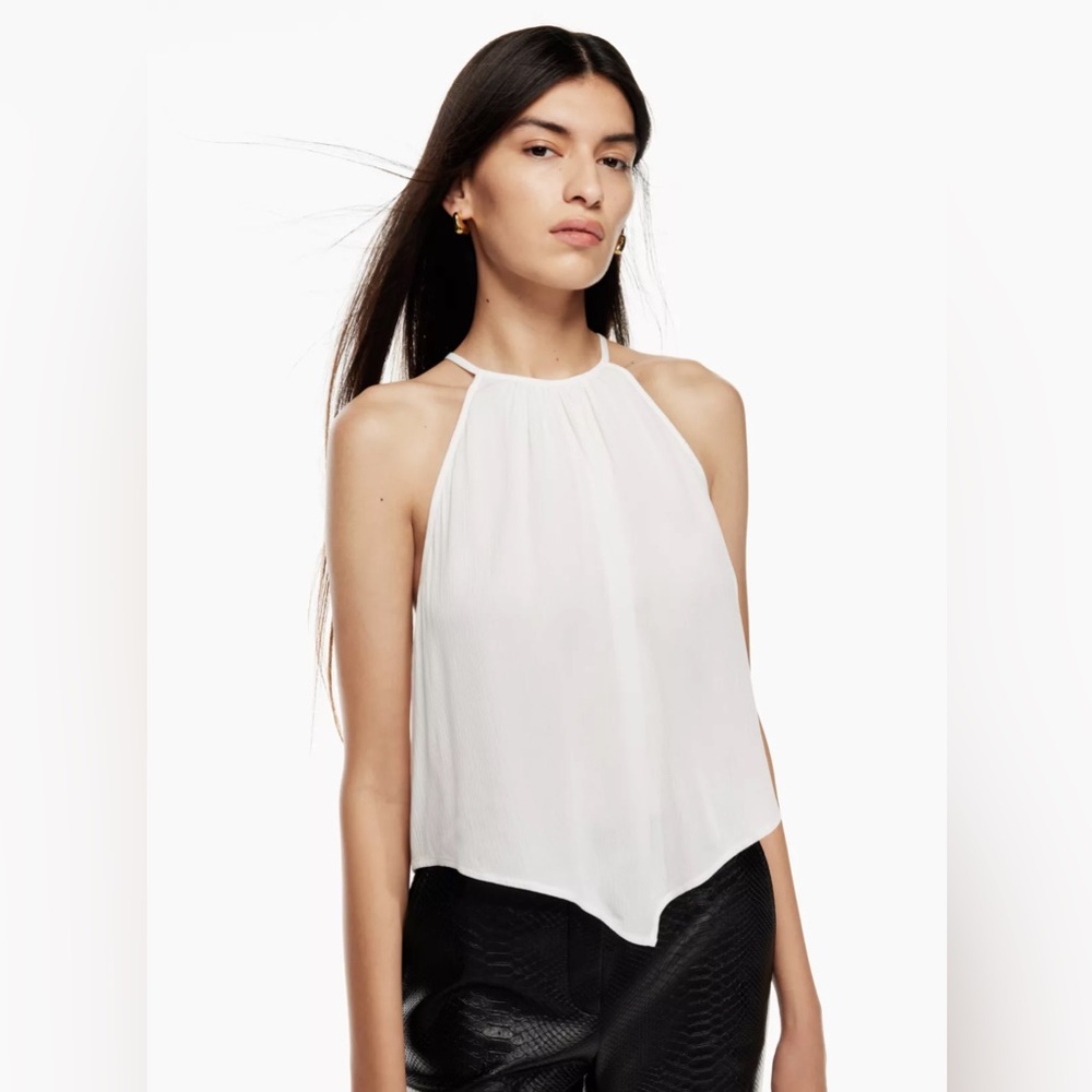 Torres Babaton aritzia tank top